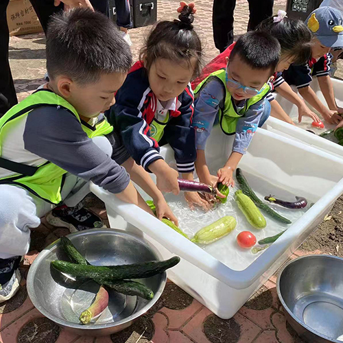 2023年某幼兒園親子活動